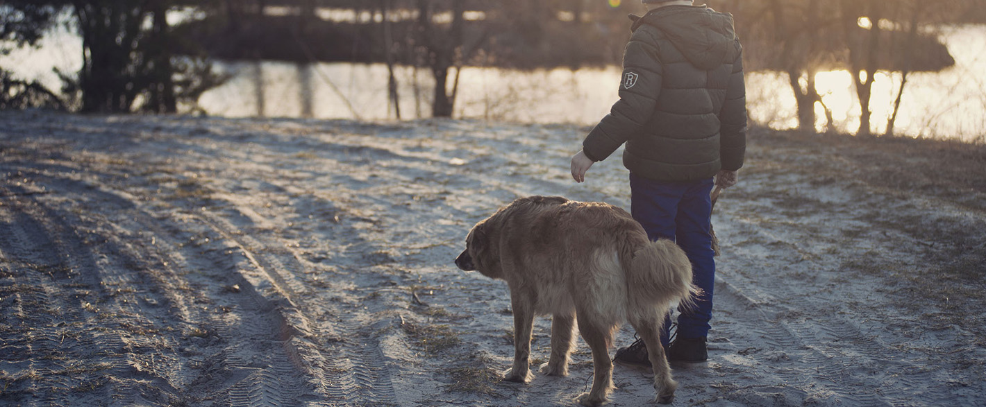 Pojke med hund i skogen